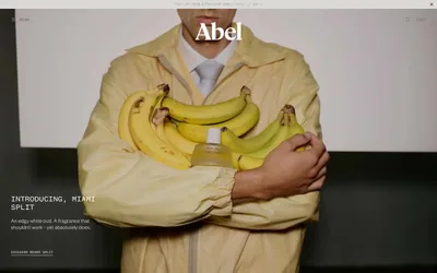 Abel 网站预览