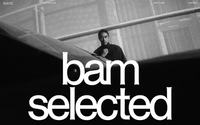 BAM Photographers 网站预览