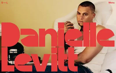 Daniellelevitt 网站预览