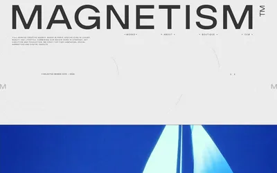 Magnetism 网站预览