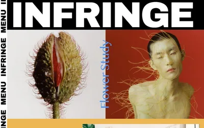 INFRINGE 网站预览