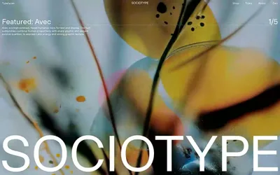 Sociotype 网站预览
