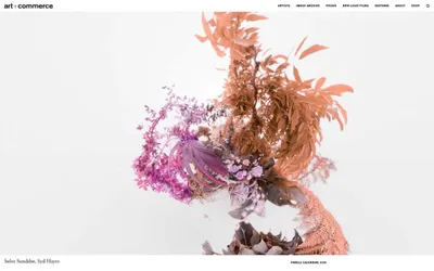 Artandcommerce 网站预览