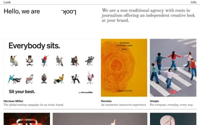 Look inc 网站预览
