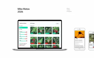 Mike Matas 网站预览