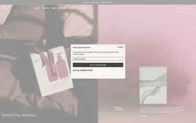 Ashleyandco 网站预览