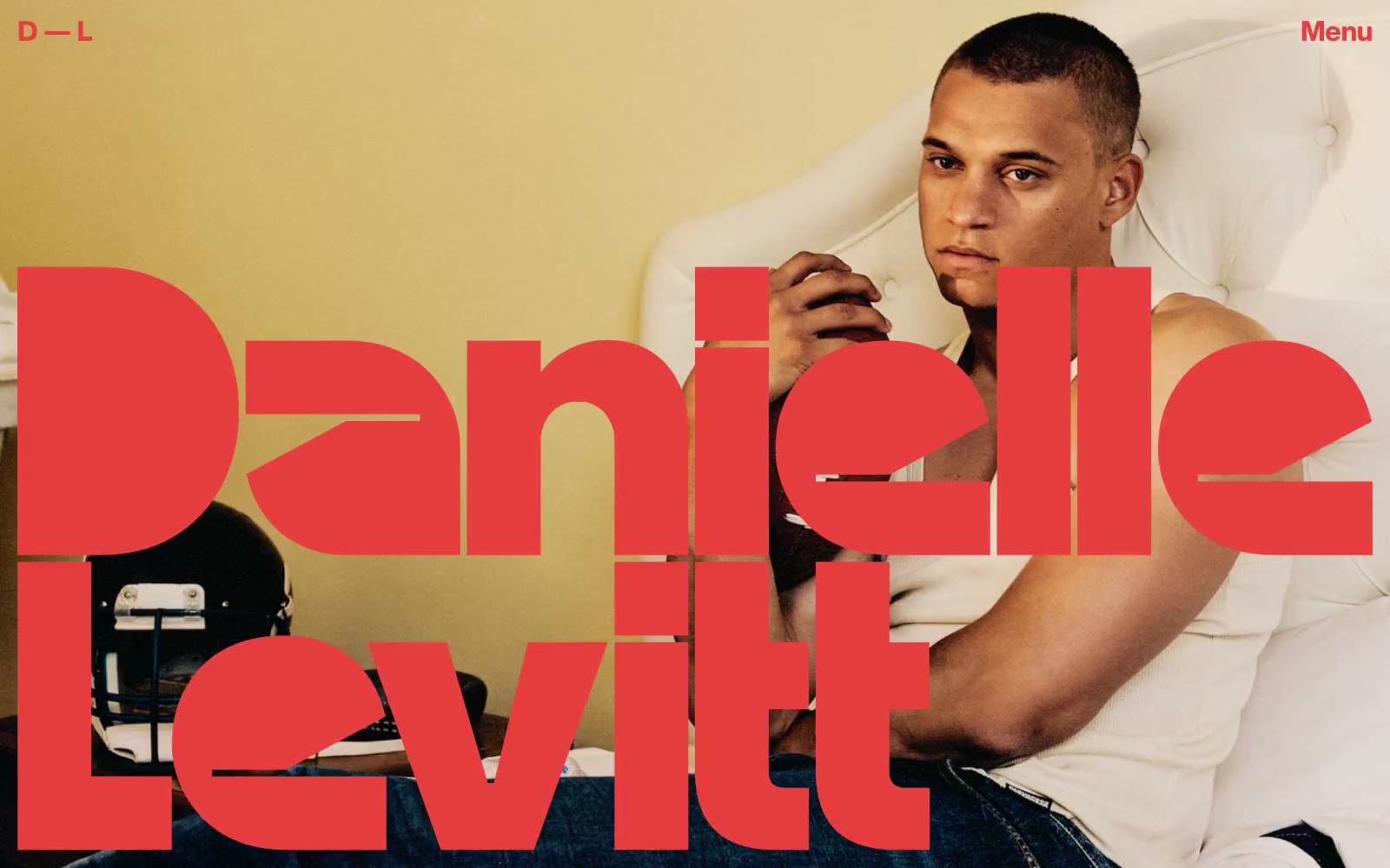 Daniellelevitt 网站预览
