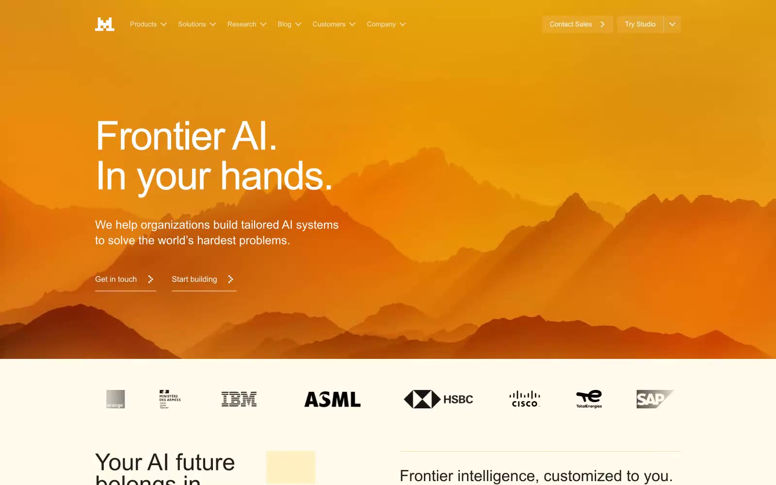 Frontier AI LLMs 网站预览