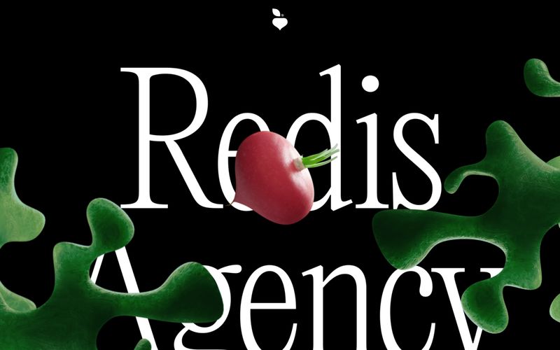 Redis Agency 网站预览