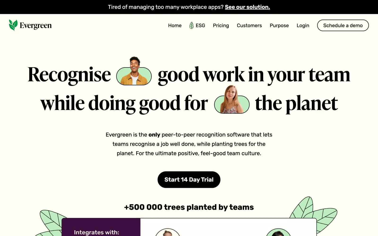 Evergreen 网站预览