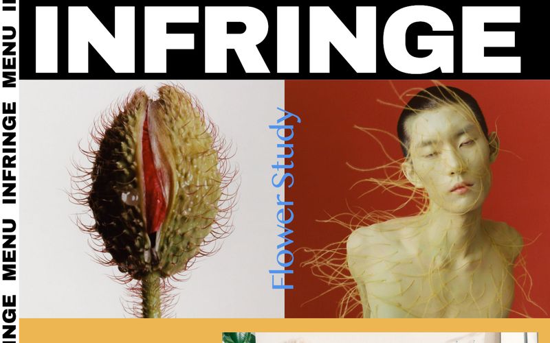 INFRINGE 网站预览
