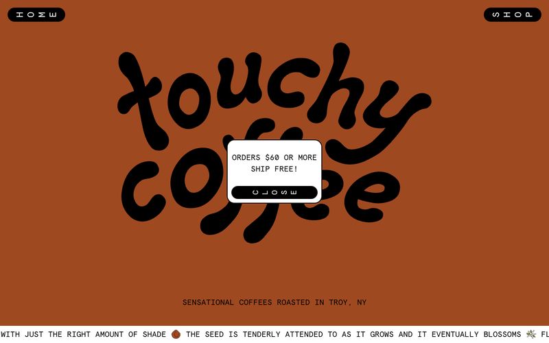Touchy Coffee 网站预览