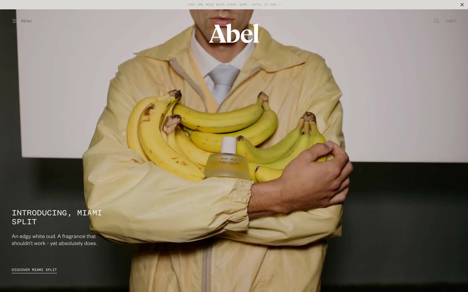 Abel 网站预览