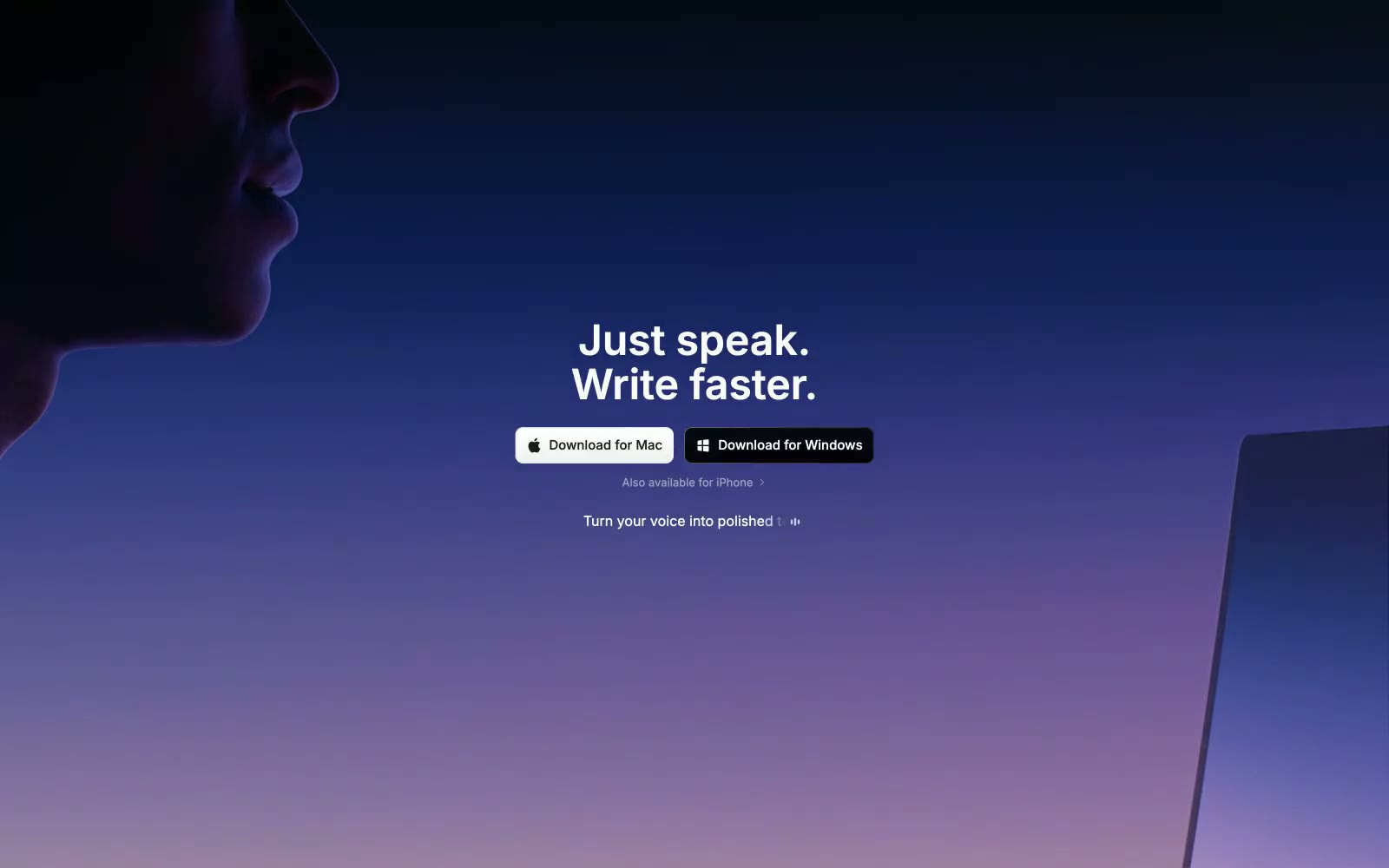 Superwhisper 网站预览