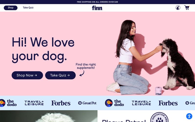 Finn 网站预览