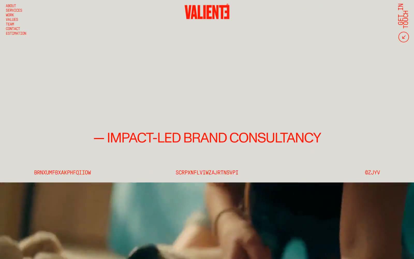 VALIENTE BRANDS 网站预览