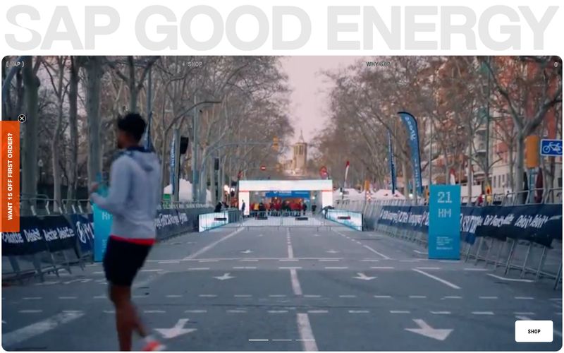 SAPGOODENERGY 网站预览