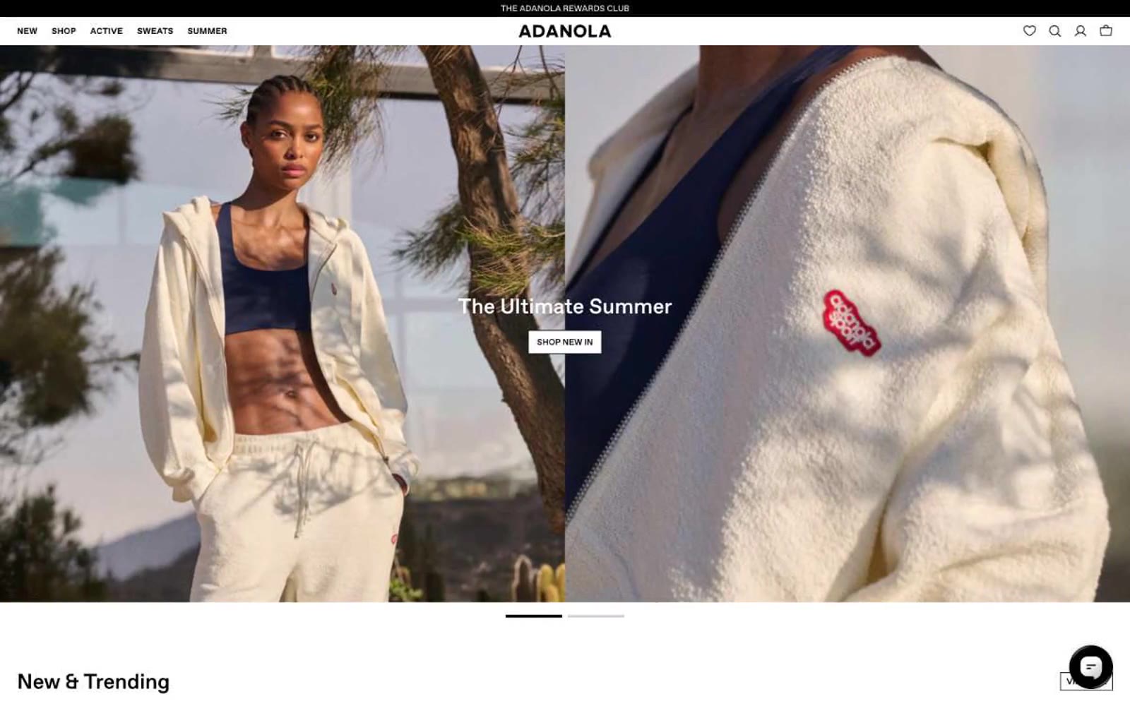 Adanola 网站预览